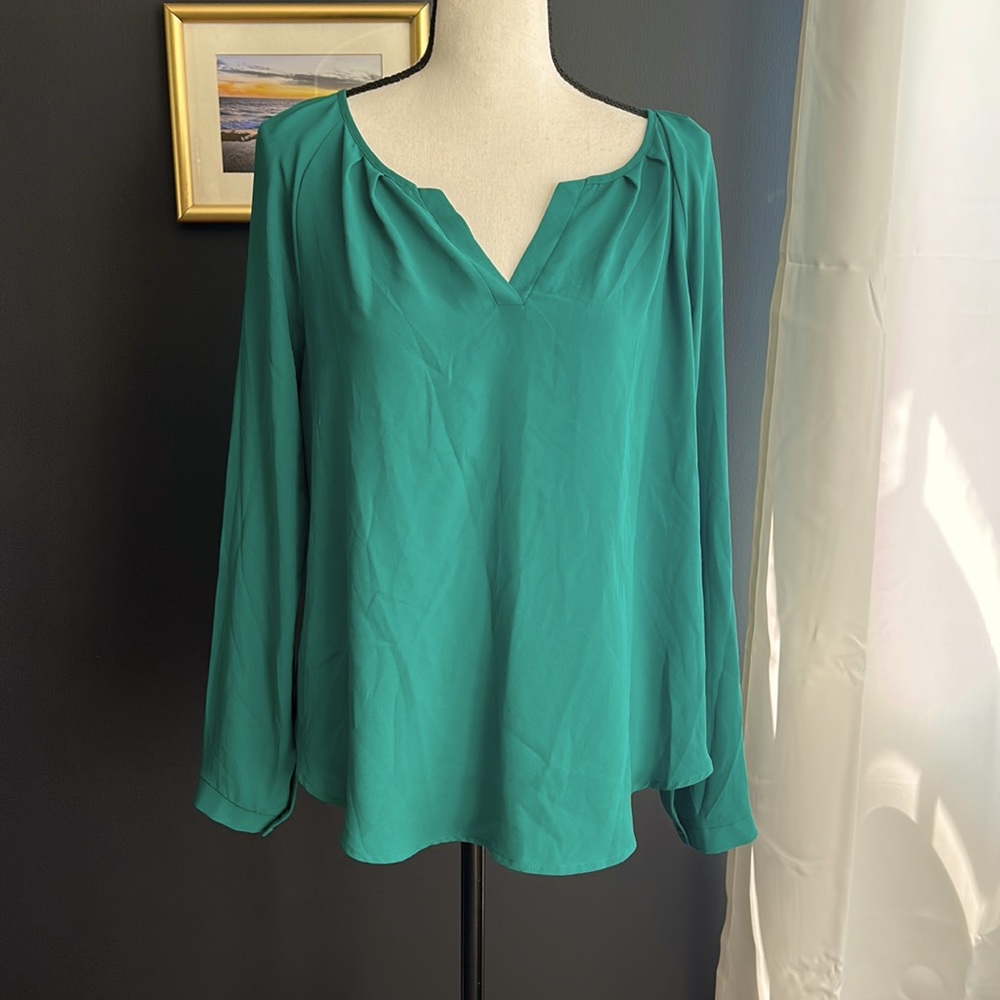 Francesca’s Blouse size L
